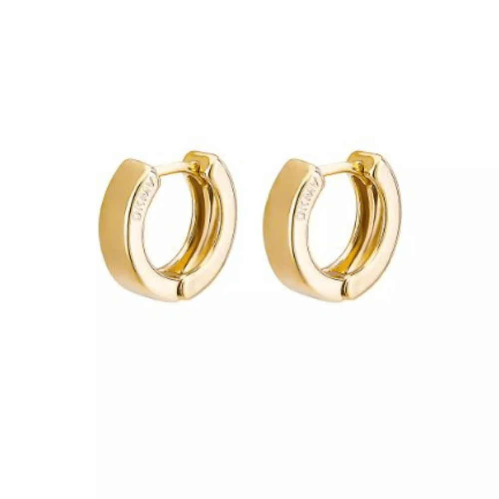 Not Yer Average Mini Hoop Earrings Gold- Lillys Pharmacy and Health Store