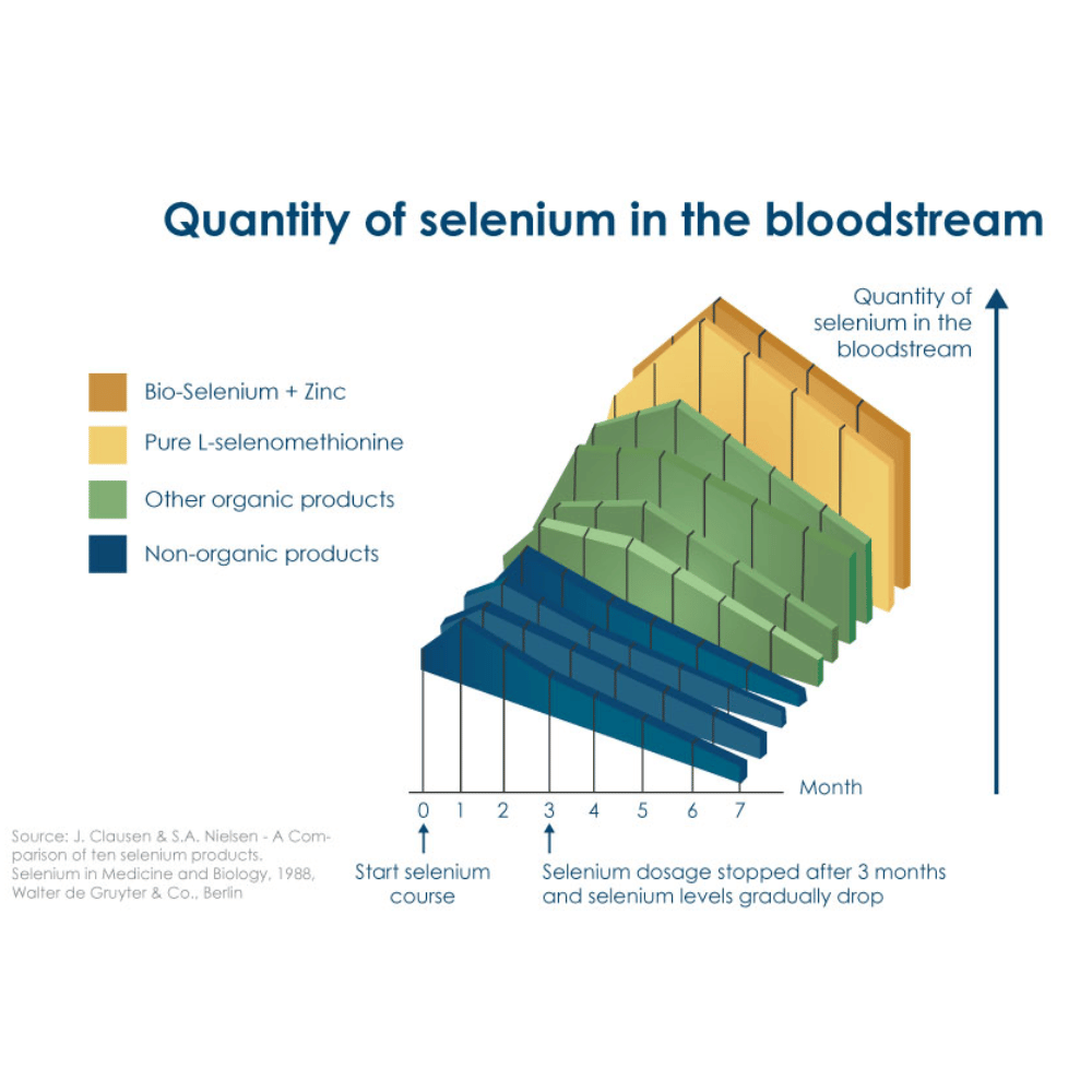 Pharma Nord BioActive Selenium + Zinc 60 Caps- Lillys Pharmacy and Health Store