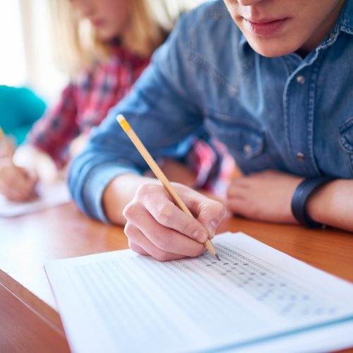 Exam & Focus Supplements-Lillys Pharmacy & Health Store