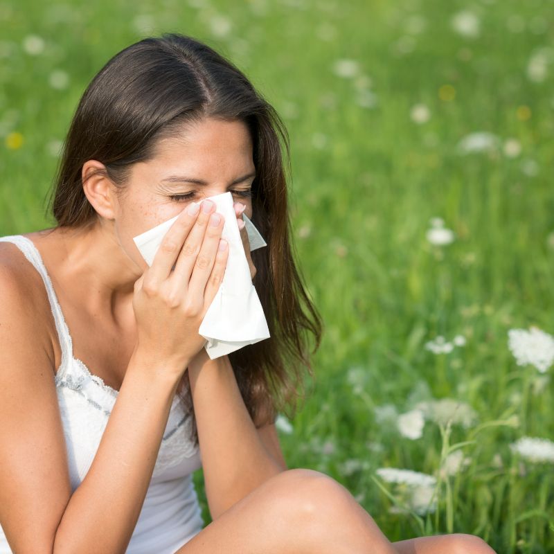 Hayfever & Allergies