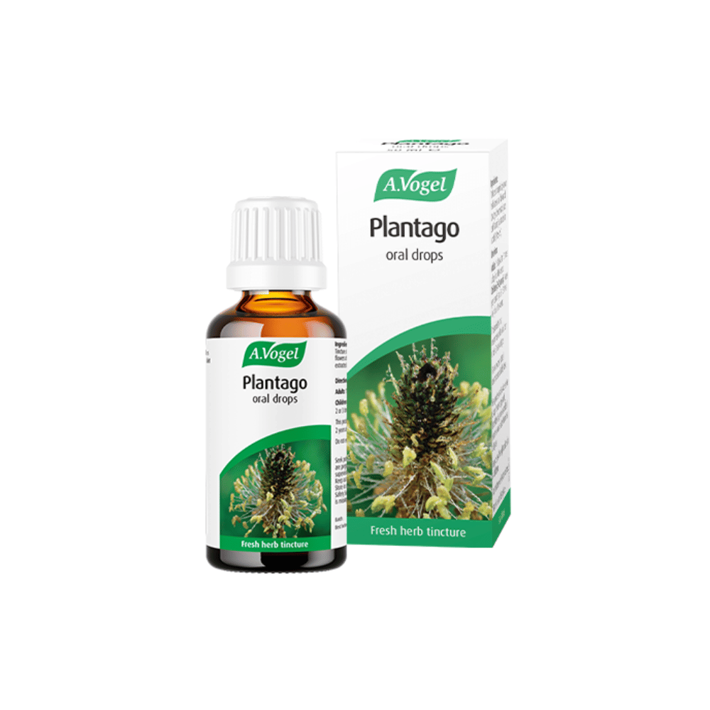 A Vogel Plantago 50ml- Lillys Pharmacy and Health Store
