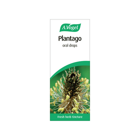 A Vogel Plantago 50ml- Lillys Pharmacy and Health Store