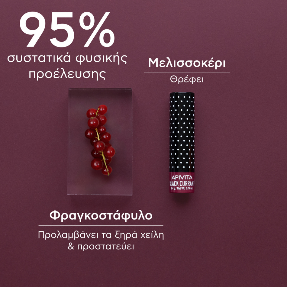 Apivita Lip Care Blackcurrant 4.4G- Lillys Pharmacy and Health Store