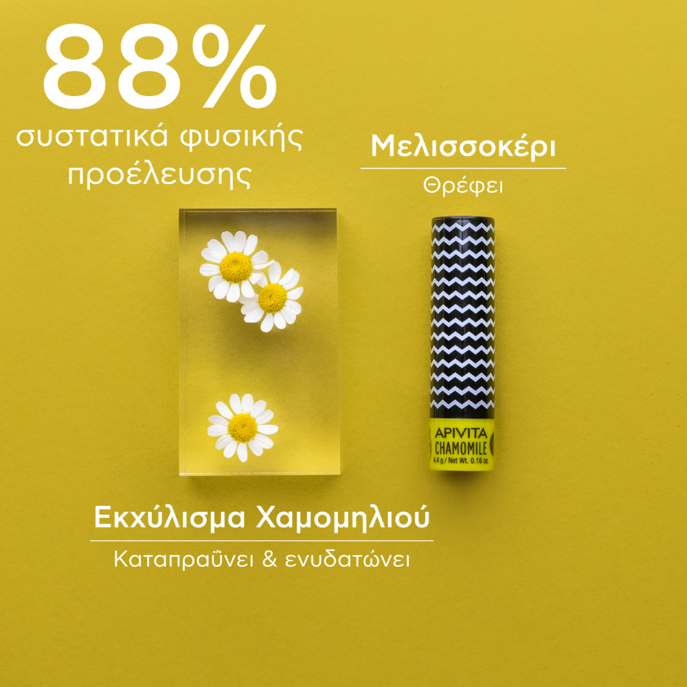 Apivita Lip Care With Chamomile 4.4G- Lillys Pharmacy and Health Store