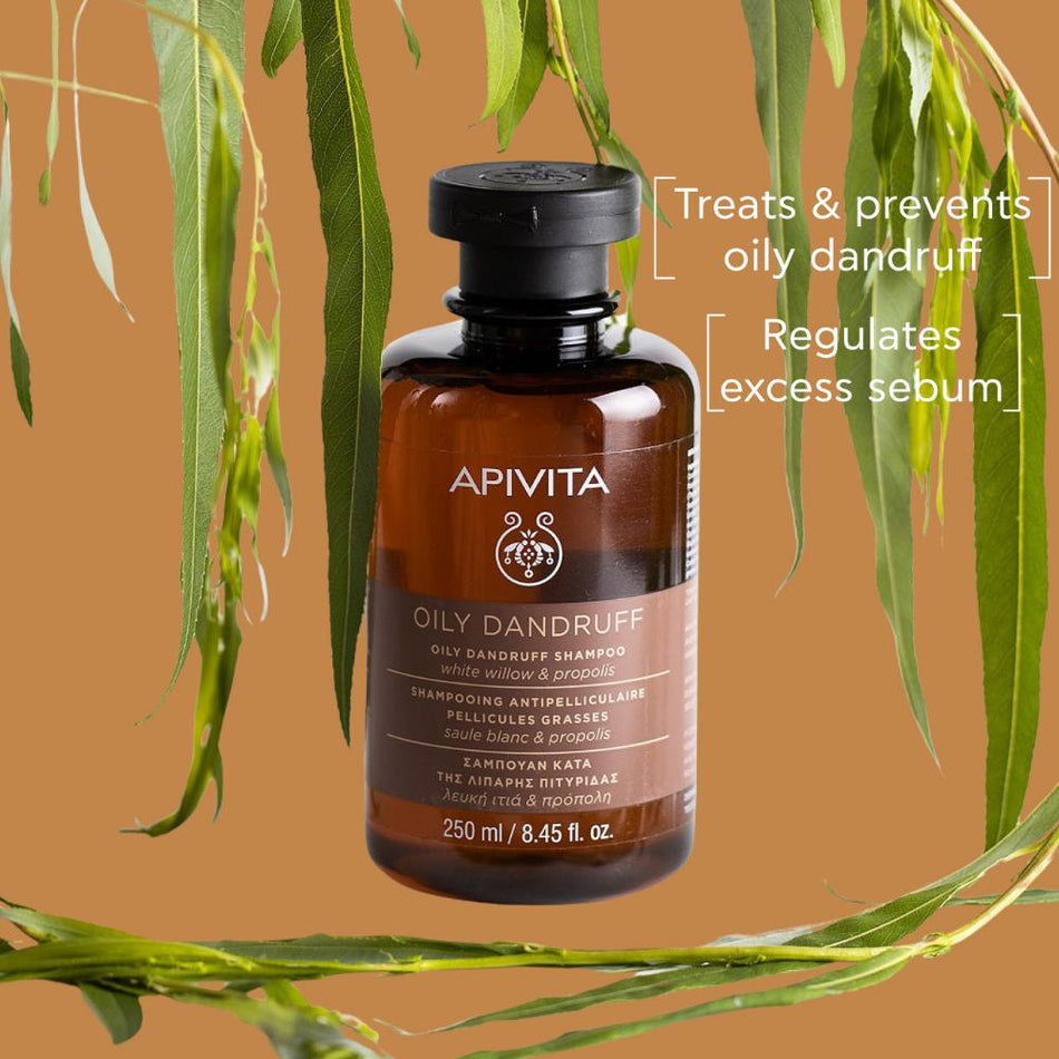 Apivita Oily Dandruff Shampoo, White Willow & Propolis 250ml- Lillys Pharmacy and Health Store