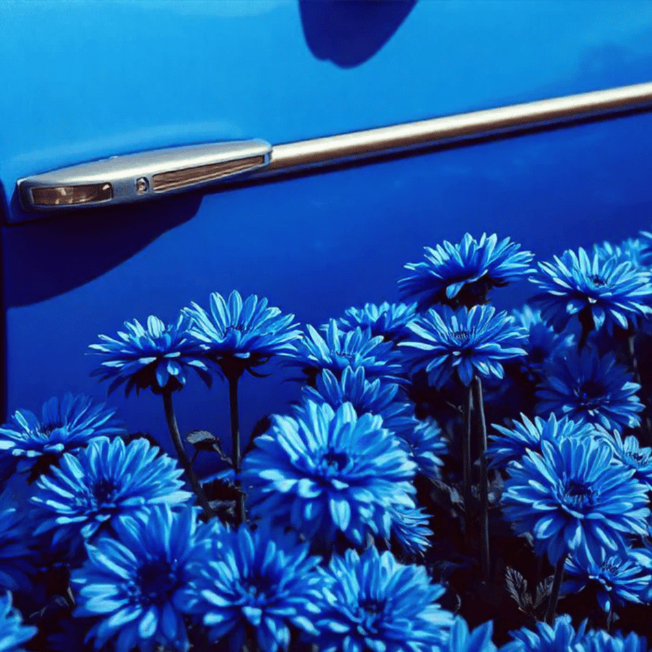 Baija Blue Ginger Car Scent- Lillys Pharmacy and Health Store