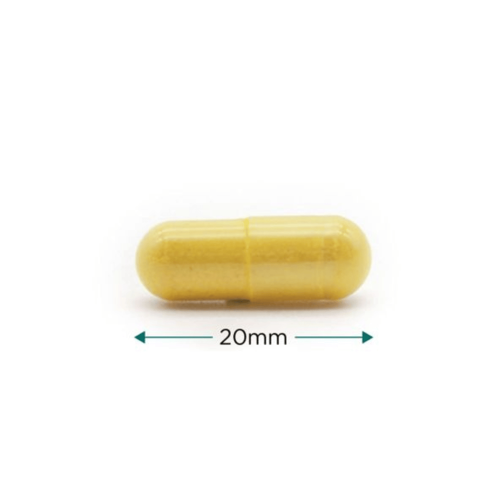 Cytoplan Aller G Formula 60 Capsules- Lillys Pharmacy and Health Store