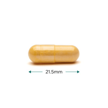 Cytoplan B Complex High Potency 60 Caps- Lillys Pharmacy and Health Store