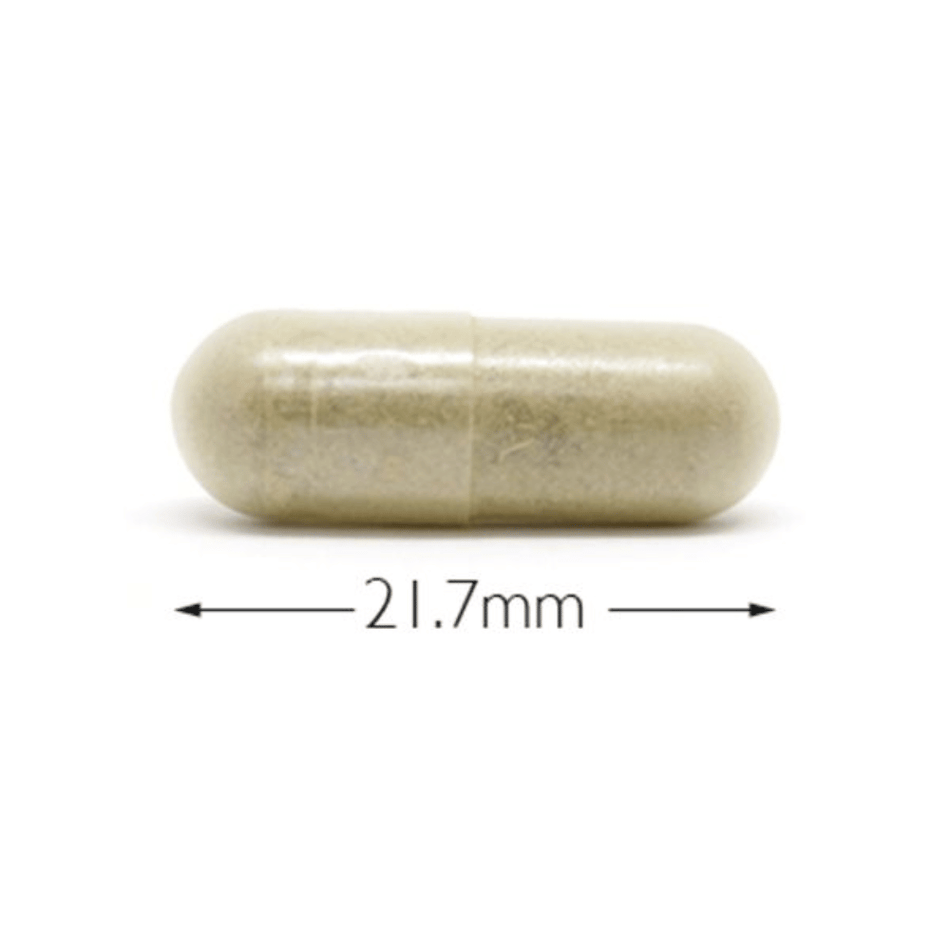 Cytoplan Bacopa Monnieri {Organic} 60 Capsules- Lillys Pharmacy and Health Store