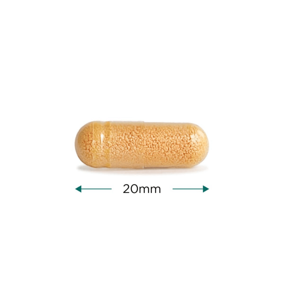 Cytoplan Cell-Active Curcumin 60 Capsules- Lillys Pharmacy and Health Store
