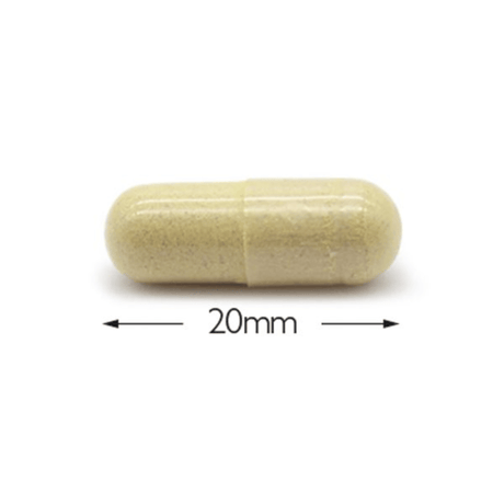 Cytoplan Cytoprotect Gi Tract 60 Capsules- Lillys Pharmacy and Health Store