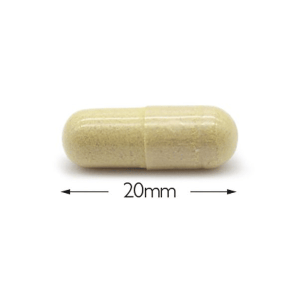 Cytoplan Cytoprotect Gi Tract 60 Capsules- Lillys Pharmacy and Health Store
