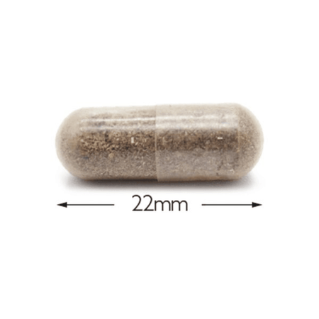 Cytoplan Cytoprotect Kidneys 60 Capsules- Lillys Pharmacy and Health Store