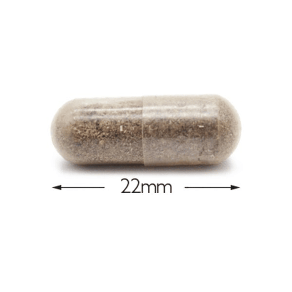 Cytoplan Cytoprotect Kidneys 60 Capsules- Lillys Pharmacy and Health Store
