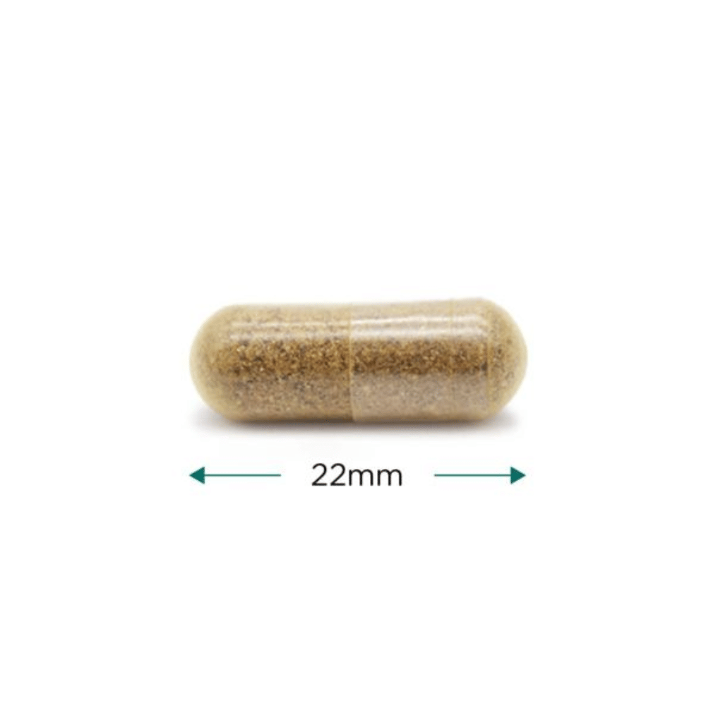 Cytoplan Cytoprotect Liver 60 Capsules- Lillys Pharmacy and Health Store