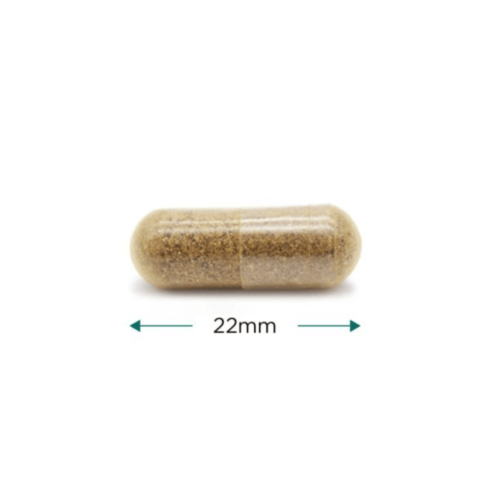 Cytoplan Cytoprotect Liver 60 Capsules- Lillys Pharmacy and Health Store