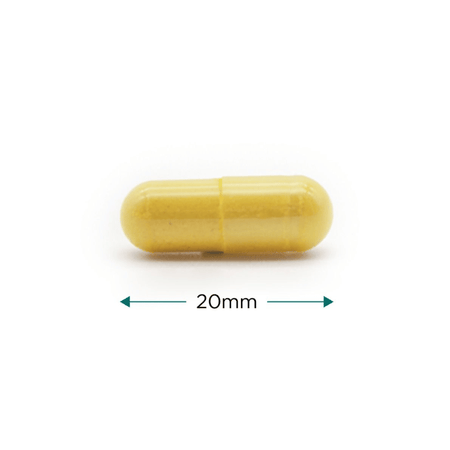 Cytoplan Immune Complete 120 Capsules Previosuly Immune Complete 2- Lillys Pharmacy and Health Store