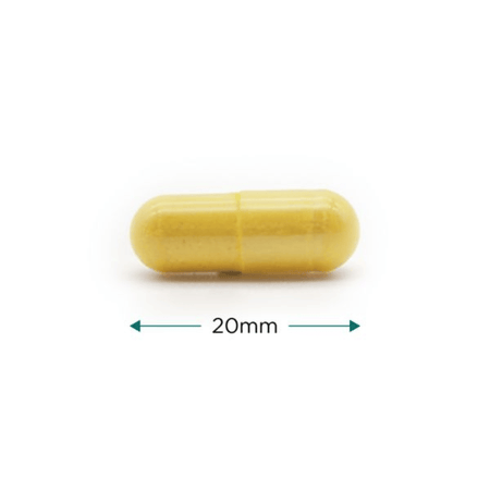 Cytoplan Immune Complete 60 Caps Previously Immune Complete 2- Lillys Pharmacy and Health Store