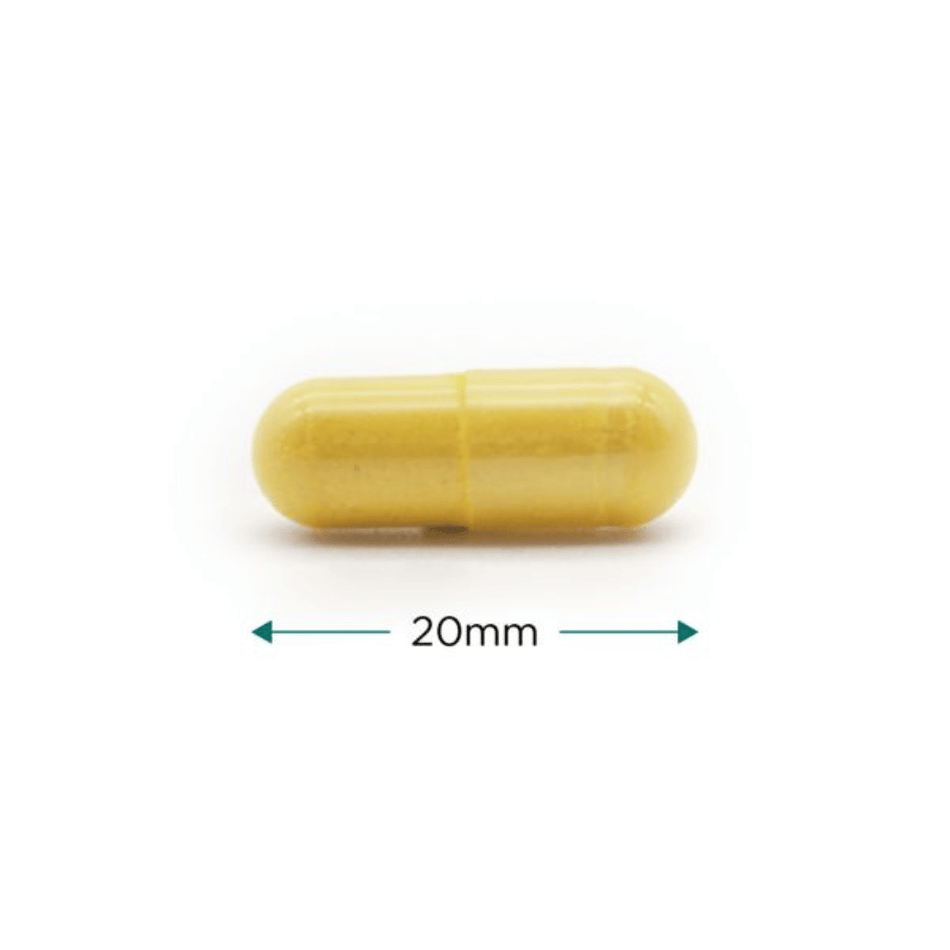 Cytoplan Immune Complete 60 Caps Previously Immune Complete 2- Lillys Pharmacy and Health Store