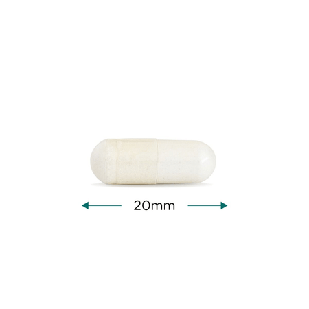 Cytoplan Magnesium Bisglycinate 60 Caps- Lillys Pharmacy and Health Store