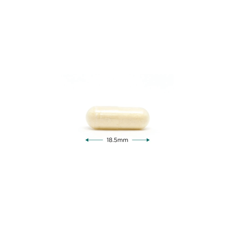 Cytoplan Methyl Factors 60 Capsules- Lillys Pharmacy and Health Store