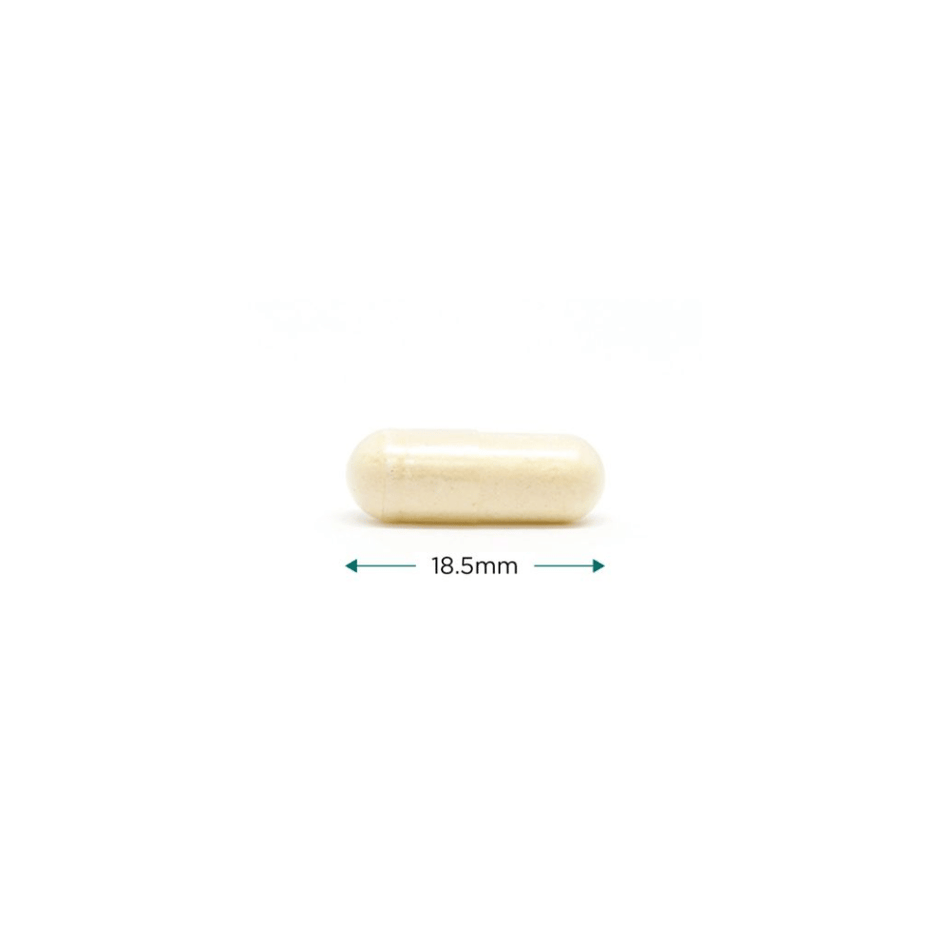Cytoplan Methyl Factors 60 Capsules- Lillys Pharmacy and Health Store