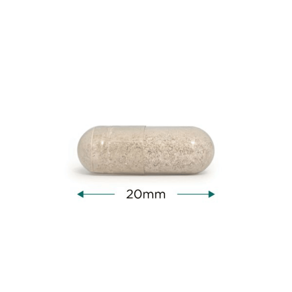 Cytoplan New: Calm Support 60 Capsules- Lillys Pharmacy and Health Store