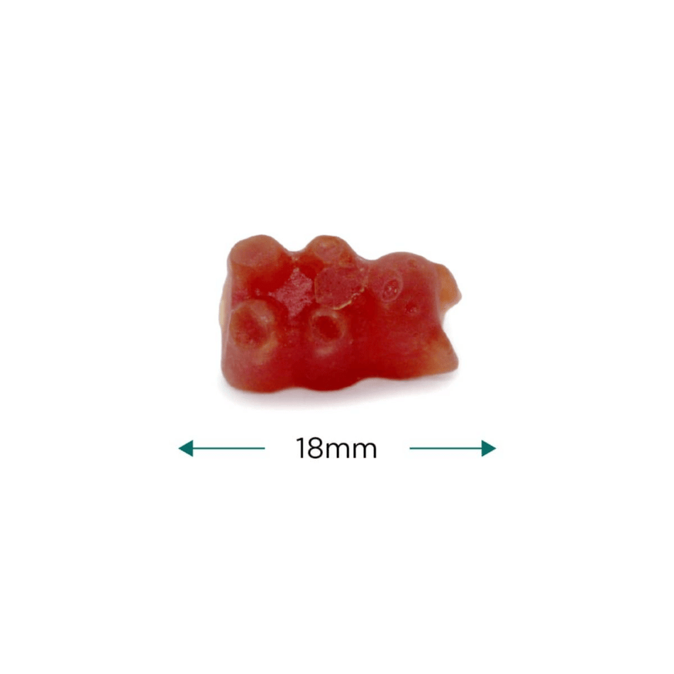 Cytoplan Nutri Bears 90 Gummies- Lillys Pharmacy and Health Store