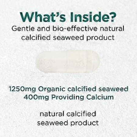 Cytoplan Organic Calcium: Wholefood 200mg Elemental 60 Capsules- Lillys Pharmacy and Health Store