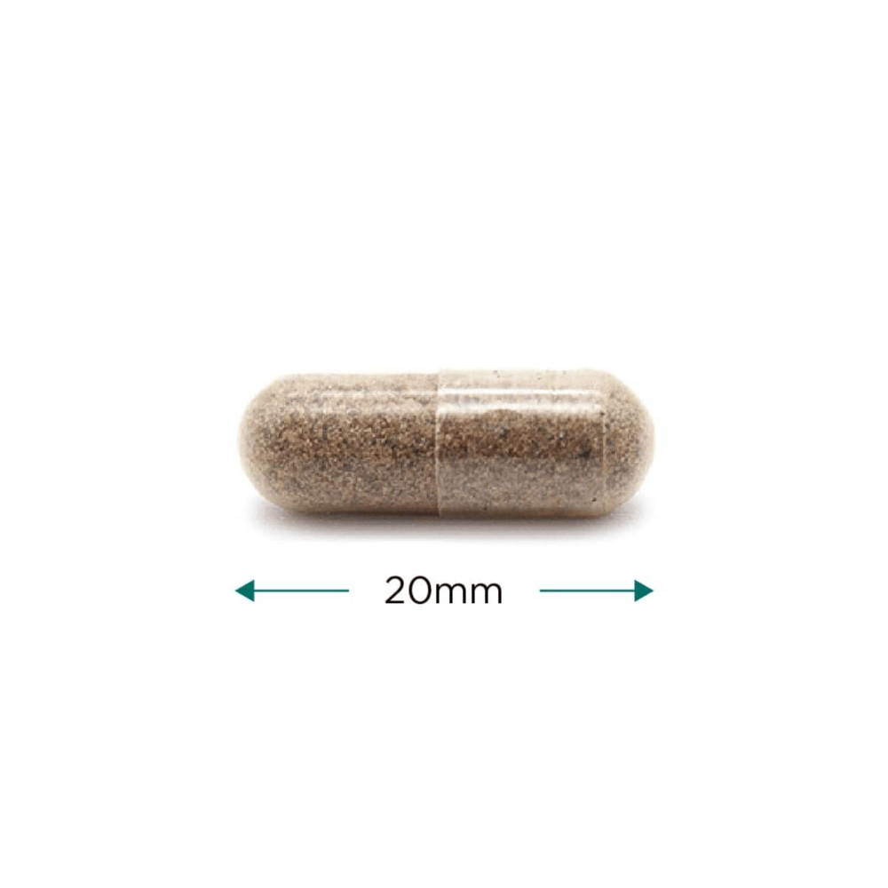 Cytoplan Organic Milk Thistle 60 Capsules- Lillys Pharmacy and Health Store