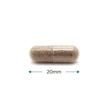 Cytoplan Organic Milk Thistle 60 Capsules- Lillys Pharmacy and Health Store
