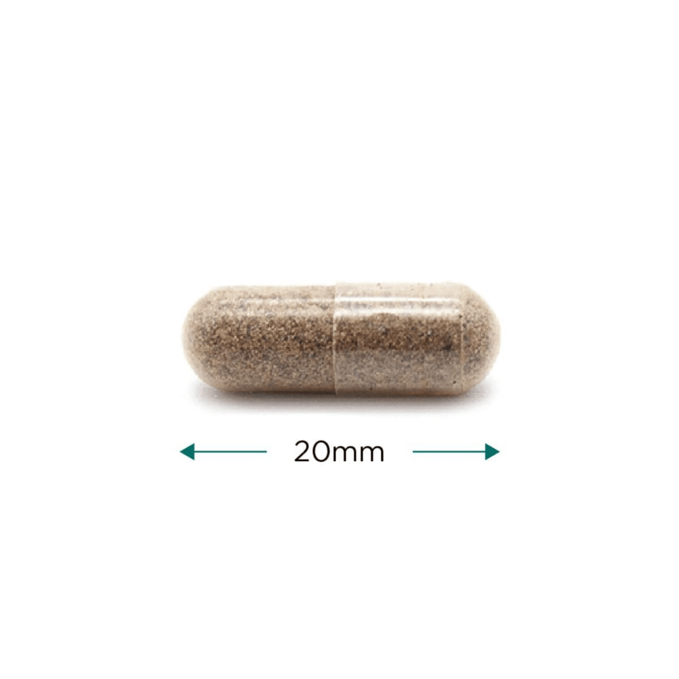 Cytoplan Organic Milk Thistle 60 Capsules- Lillys Pharmacy and Health Store