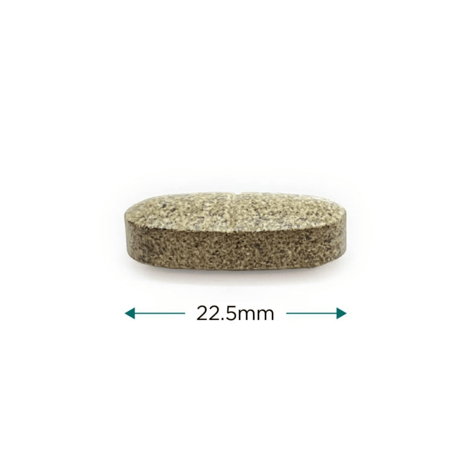 Cytoplan Pregna-Plan: 60 Tablets- Lillys Pharmacy and Health Store