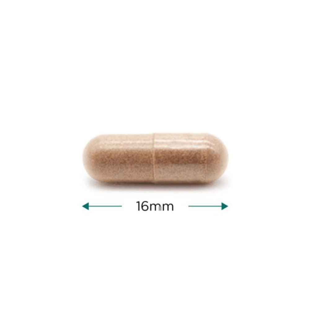 Cytoplan Rhodiola 250mg 60 Capsules- Lillys Pharmacy and Health Store