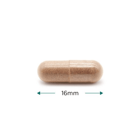 Cytoplan Rhodiola 250mg 60 Capsules- Lillys Pharmacy and Health Store