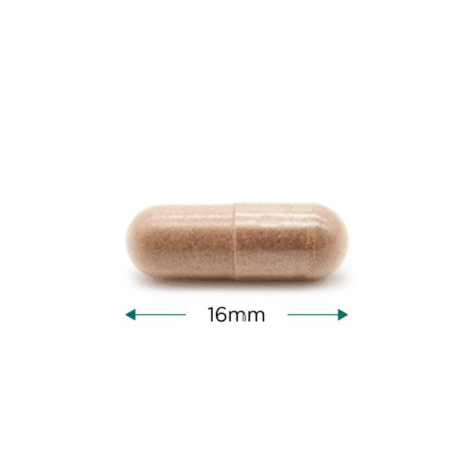 Cytoplan Rhodiola 250mg 60 Capsules- Lillys Pharmacy and Health Store