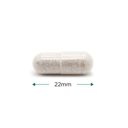 Cytoplan Thyroid Support 60 Capsules- Lillys Pharmacy and Health Store