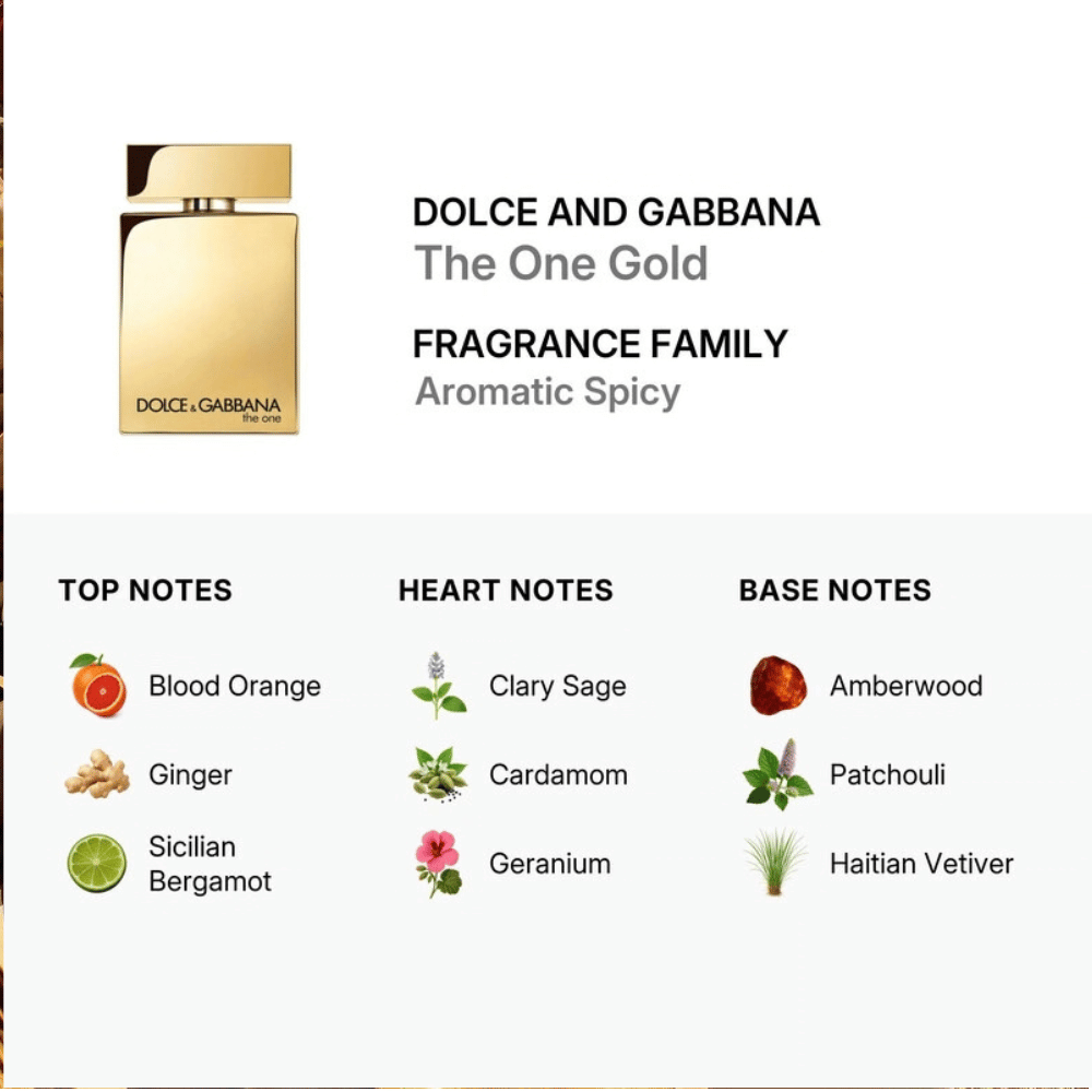 Dolce & Gabbana D&G The One Gold 50ml Eau de Parfum Spray- Lillys Pharmacy and Health Store
