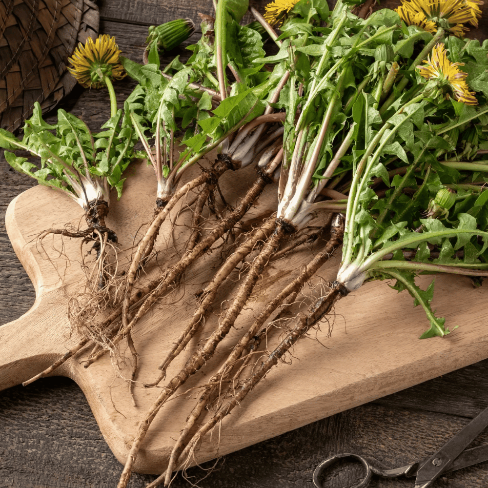 Dr Clare Roasted Dandelion Root & Cacao Nib 100g- Lillys Pharmacy and Health Store