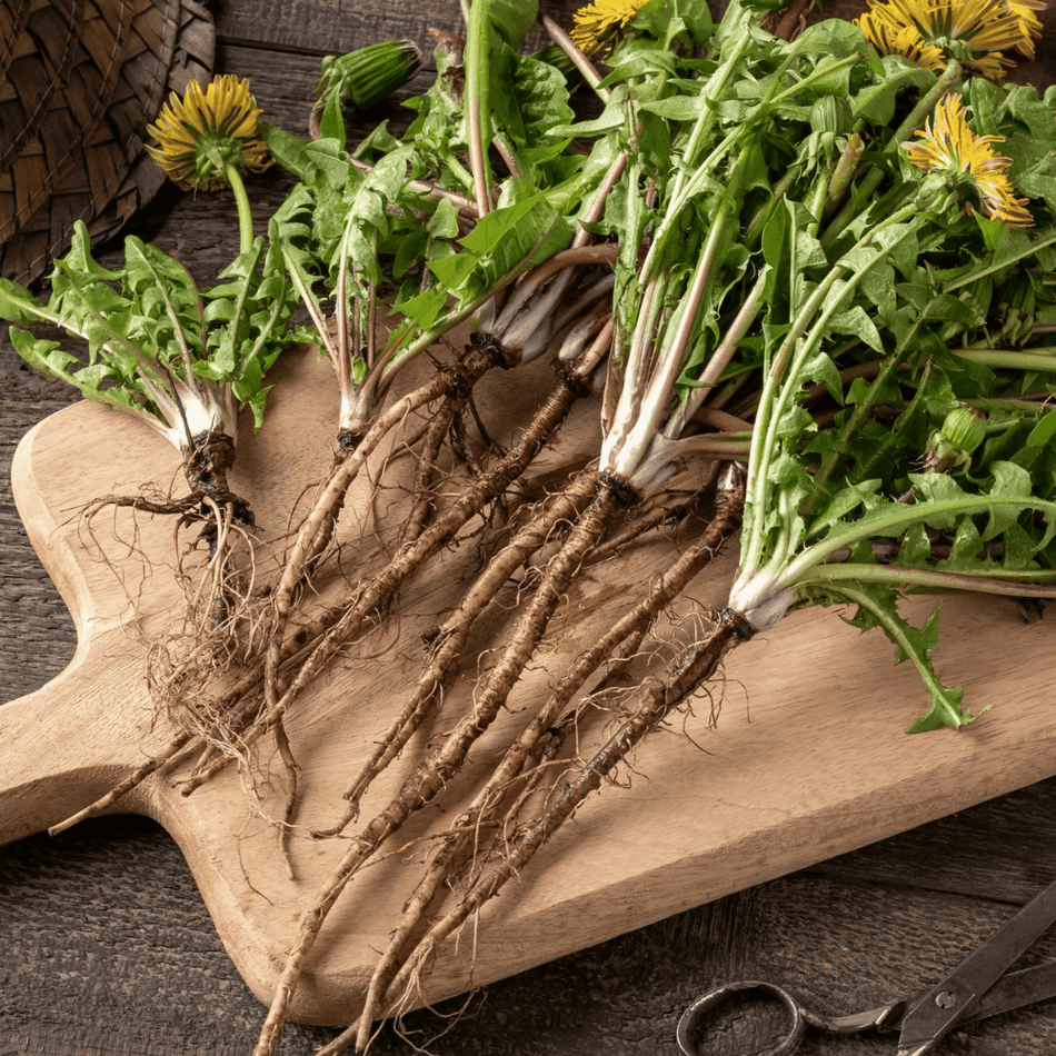 Dr Clare Roasted Dandelion Root & Cacao Nib 100g- Lillys Pharmacy and Health Store