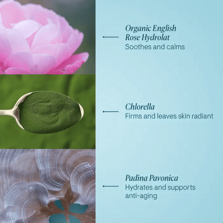 Elemis Pro-Collagen Rose Marine Cream 50ml- Lillys Pharmacy and Health Store