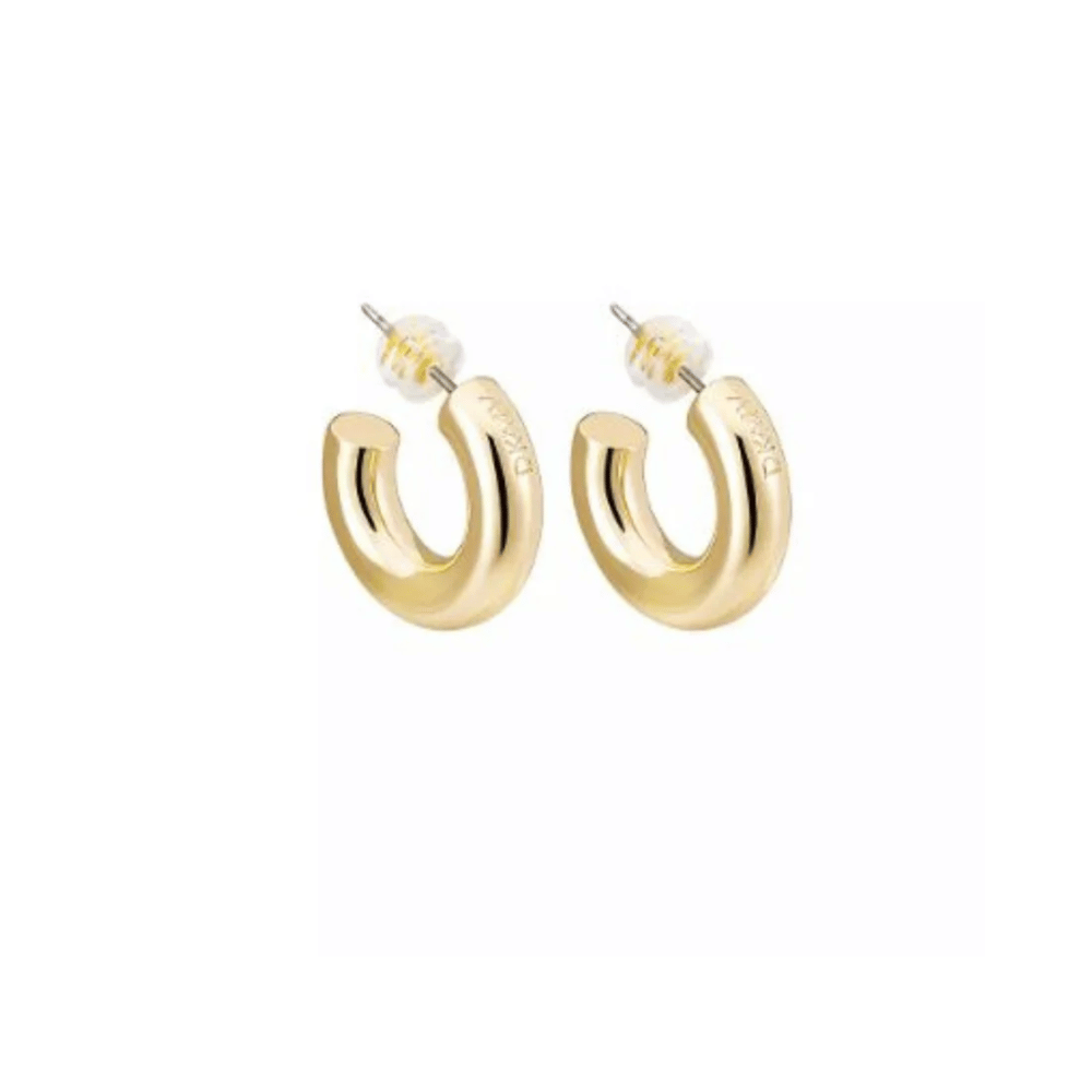 Ery Day Mini Hoop Earrings Gold- Lillys Pharmacy and Health Store