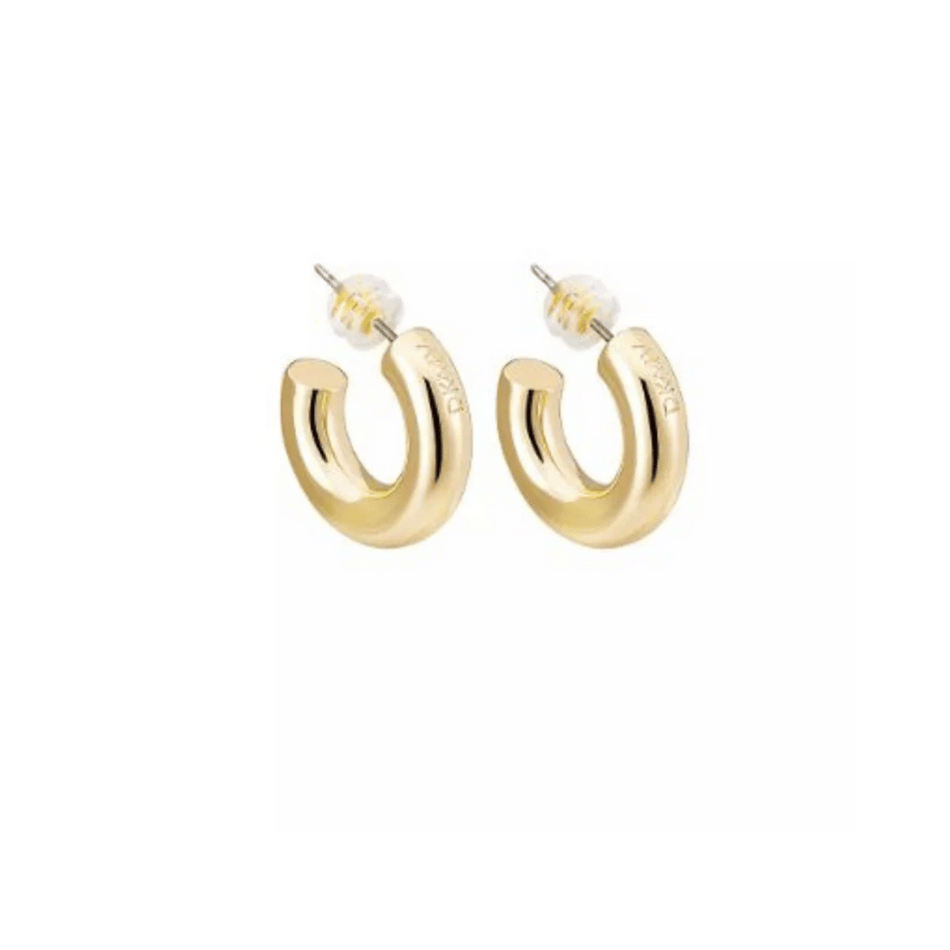 Ery Day Mini Hoop Earrings Gold- Lillys Pharmacy and Health Store