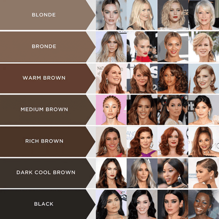 EyebrowQueen Brow Pro - 5 Rich Brown- Lillys Pharmacy and Health Store