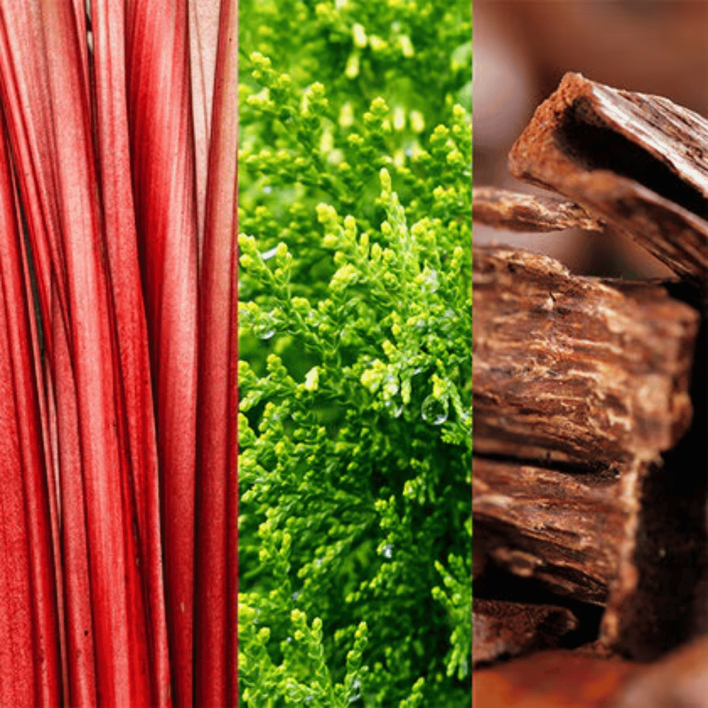 Joop Go Mens Eau de toilette 100ml