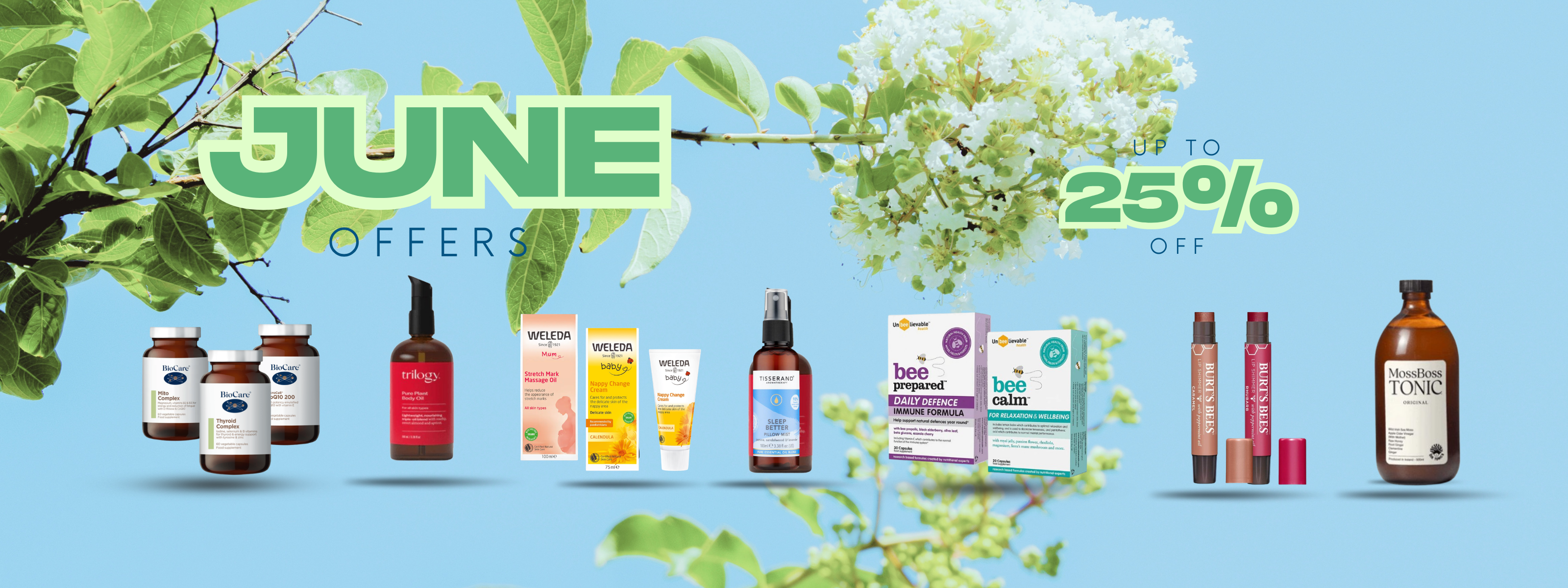 MAIN_WEBISTE_BANNER_1_3200_x_1200_px_5-Lillys Pharmacy & Health Store