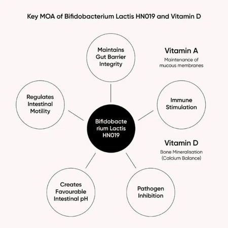 Nutri Advanced Bactiol Regular 60 Caps- Lillys Pharmacy and Health Store