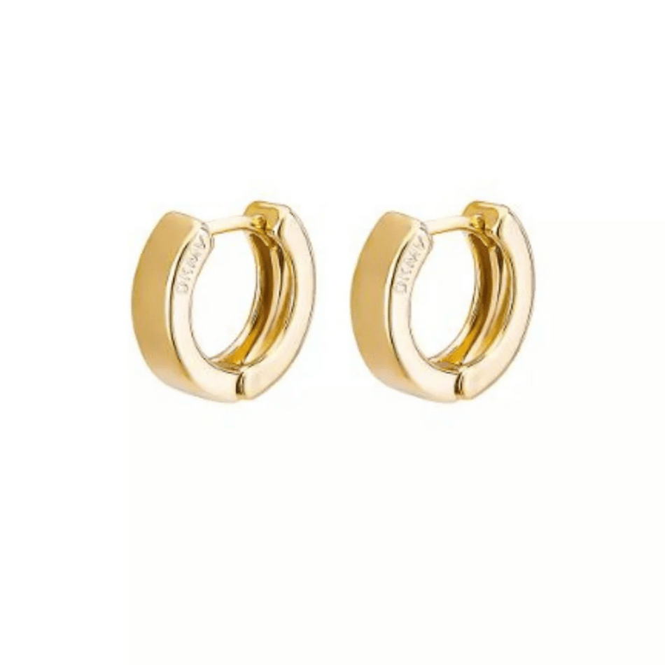 Not Yer Average Mini Hoop Earrings Gold- Lillys Pharmacy and Health Store