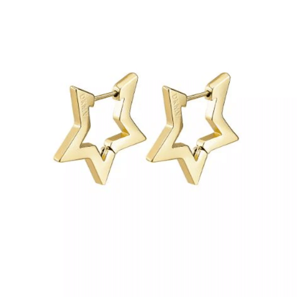 Not Yer Average Star Hoop Earrings Gold- Lillys Pharmacy and Health Store