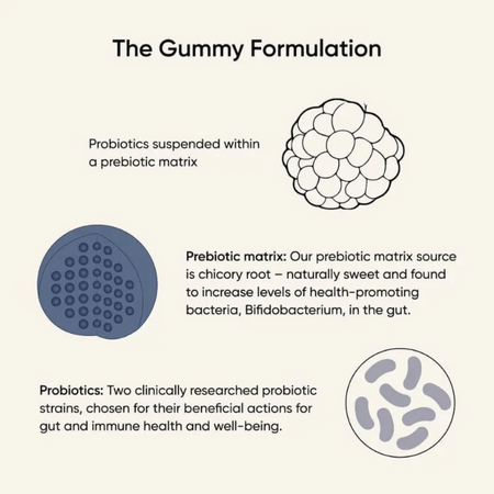 Nutri Advanced Bactiol Probiotic Gummies for Kids 50 Gummies- Lillys Pharmacy and Health Store
